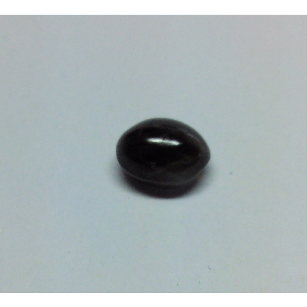 Cats Eye Lehsunia