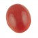 Red Coral (Moonga)
